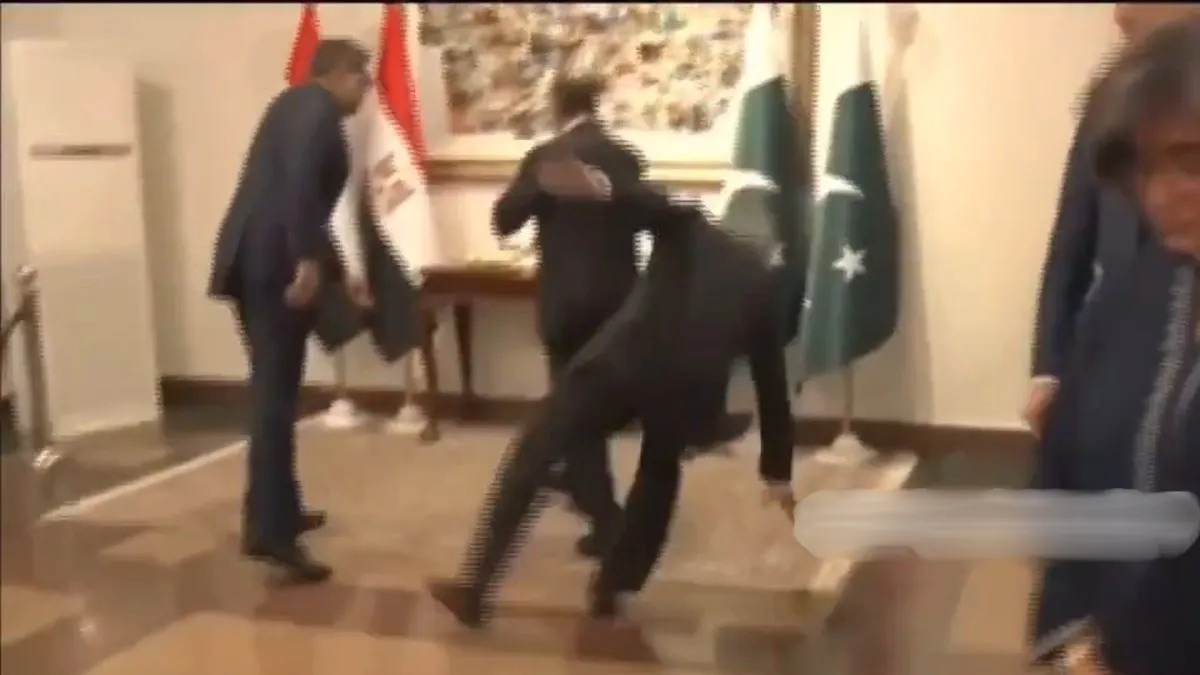 પાકિસ્તાનના નાયબ વડાપ્રધાન ઇશાક ડાર લપસ્યા