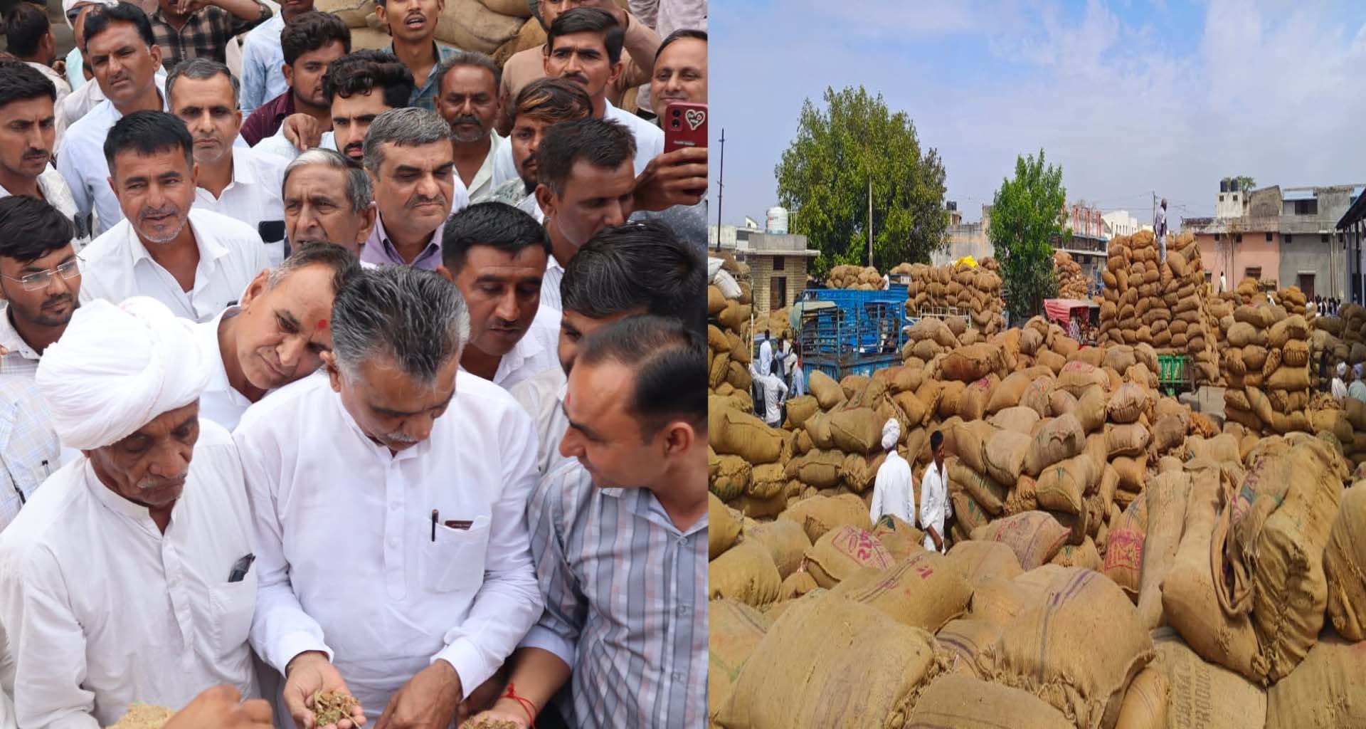 ડીસા માર્કેટયાર્ડમાં તમાકુની હરાજીના શ્રીગણેશ : પ્રથમ દિવસે જ 55 હજાર બોરીની આવક