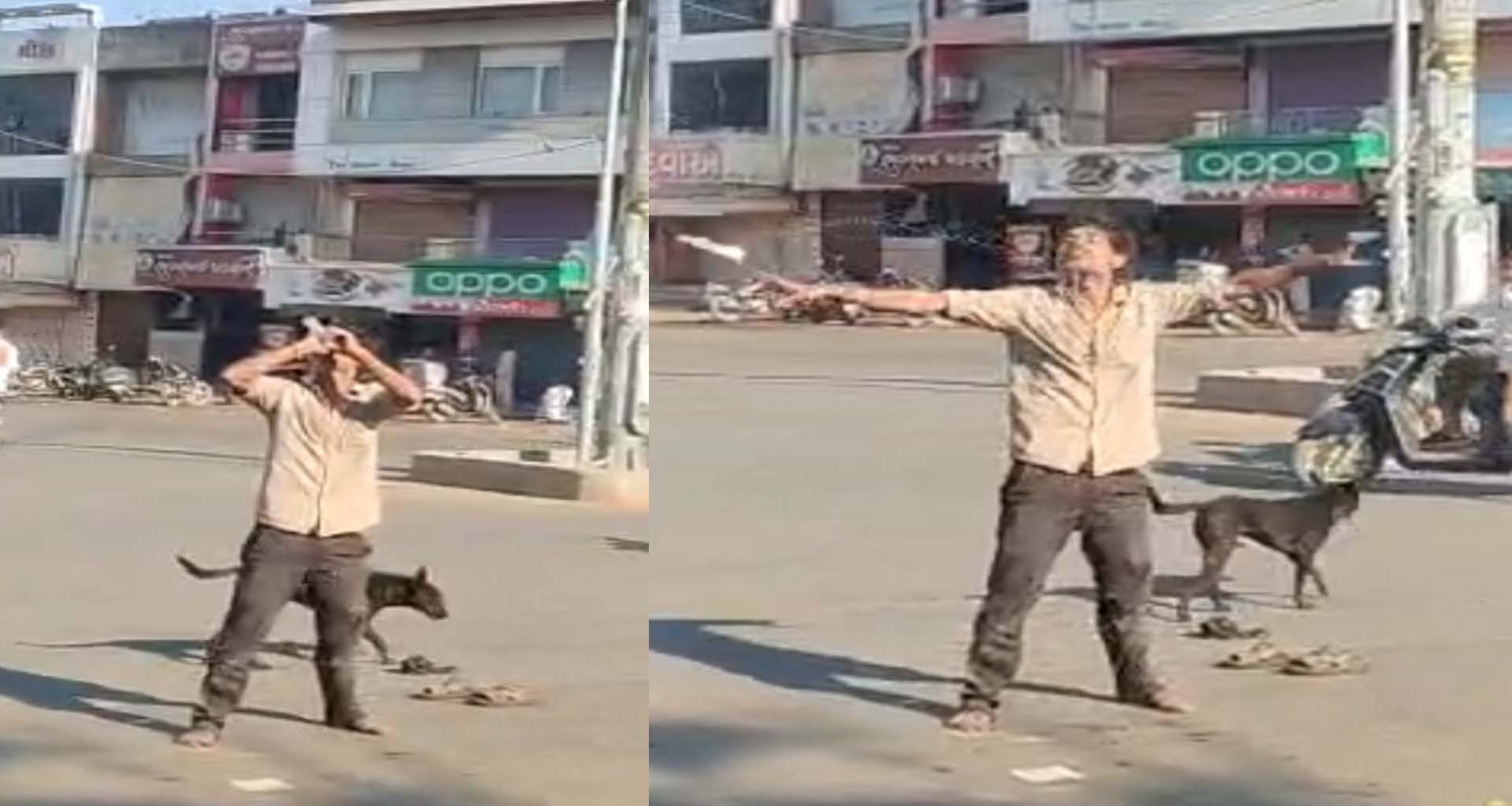 પોલીસનો ડર ક્યાં ? ડીસામાં જાહેરમાં દારૂની મહેફિલનો વીડિયો વાયરલ