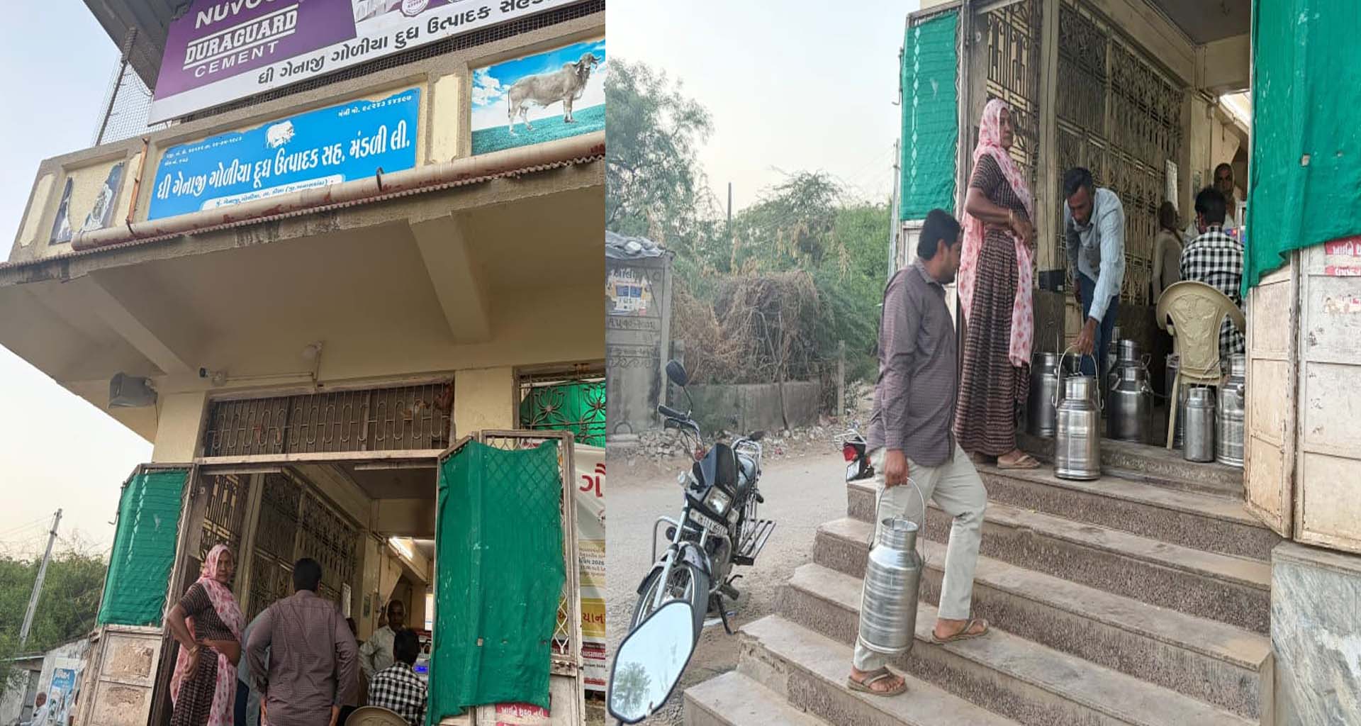 ડીસાના ગેનાજી ગોળીયામાં દૂધની મંડળીમાં જ 'દૂધનું દૂધ અને પાણીનું પાણી', ટેસ્ટર દૂધ ચોરતા ઝડપાયો 