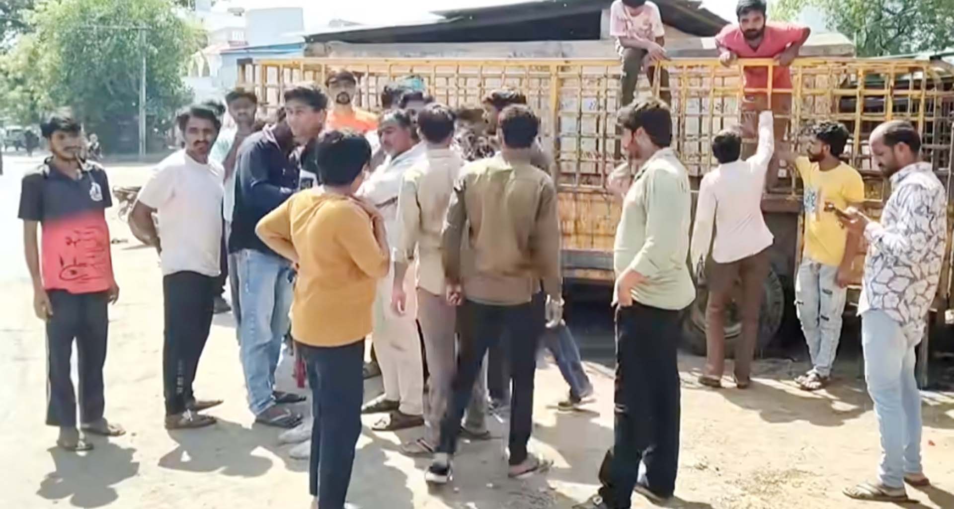 પાટણ તંત્રની બેદરકારી સામે આવી, ઢોર ડબ્બામાં 4 ગાયોના મોત મામલે તપાસની માંગ