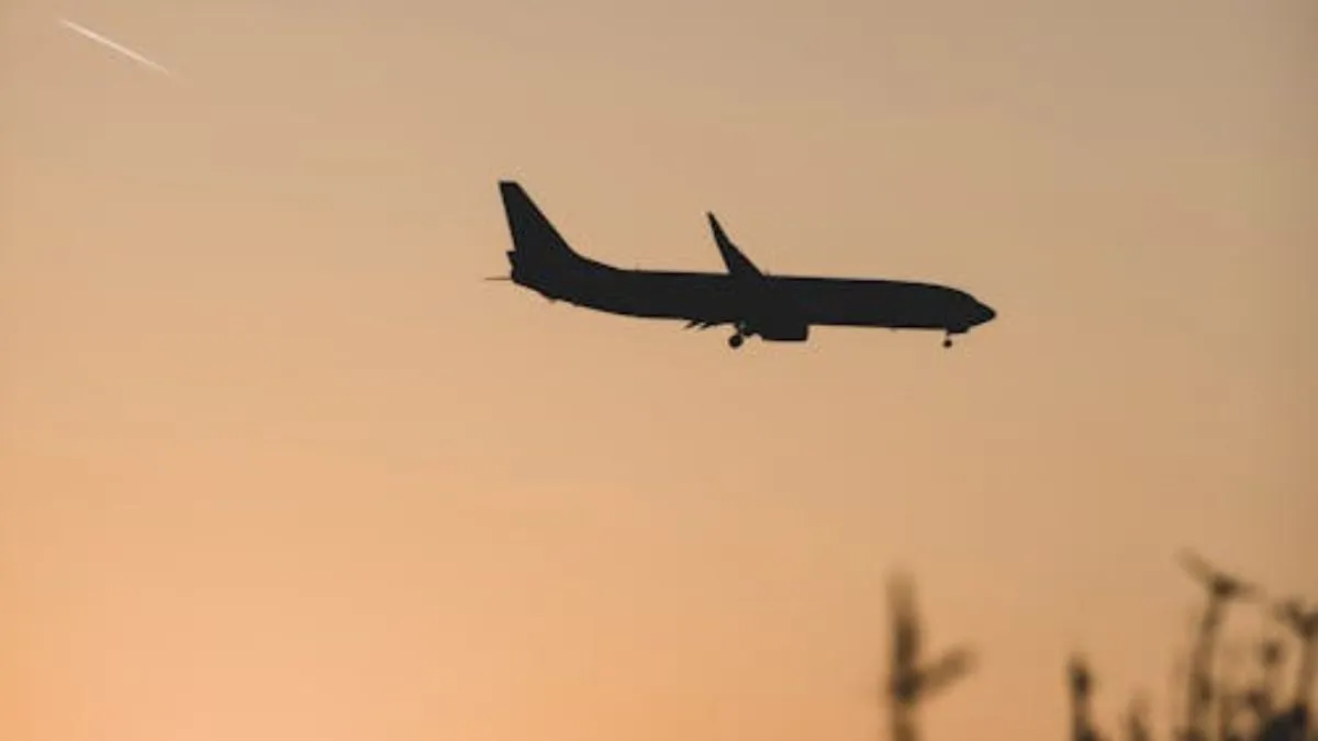 દક્ષિણ સુદાનમાં વિમાન ક્રેશ, સવાર તમામ 14 લોકોના મોત