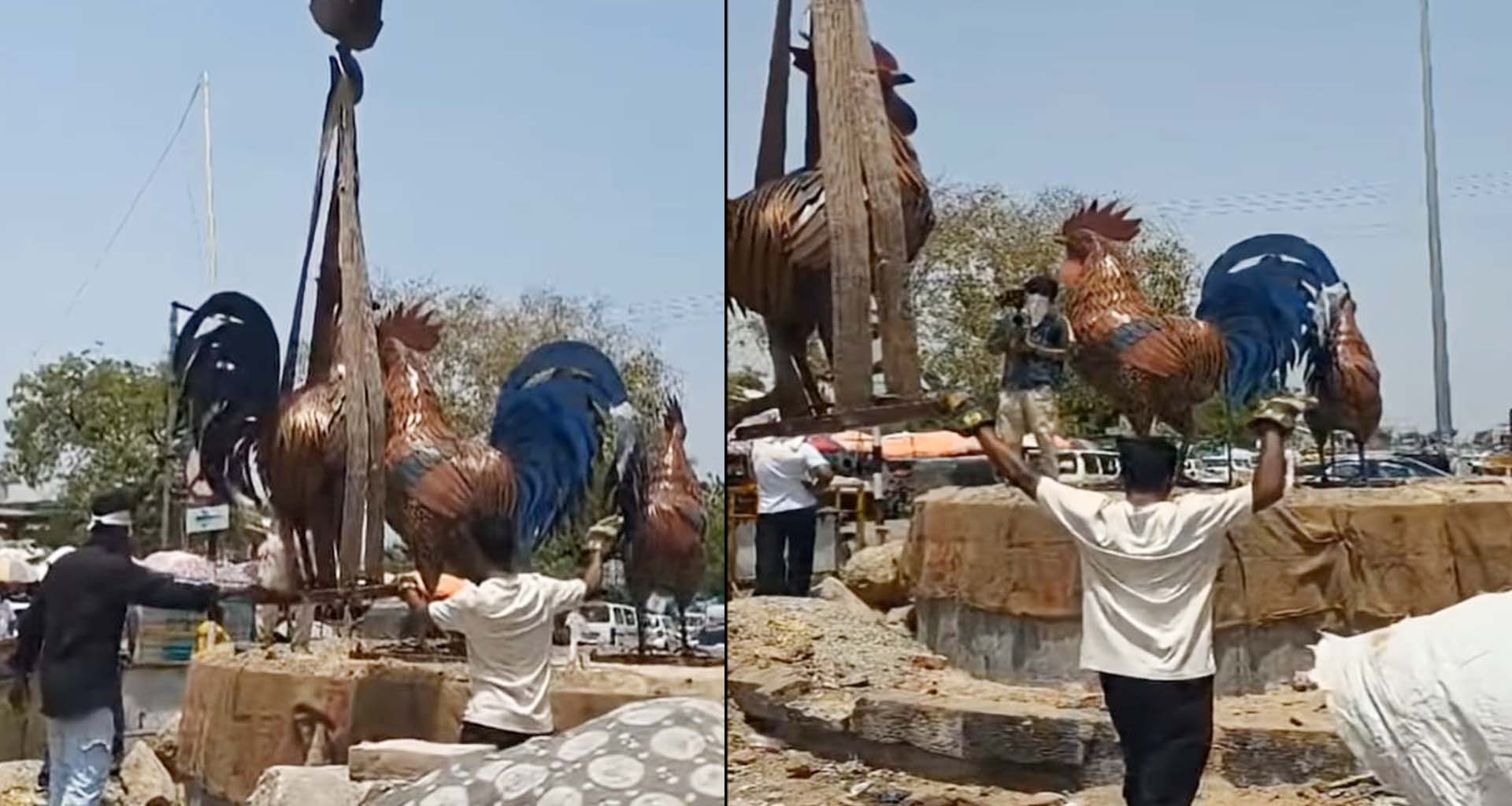 બહુચરાજીમાં માઈભક્તોની આસ્થાનો વિજય: શક્તિપીઠ સામે ₹35 લાખના ખર્ચે કૂકડાની 3 ભવ્ય પ્રતિમાઓ સ્થાપિત