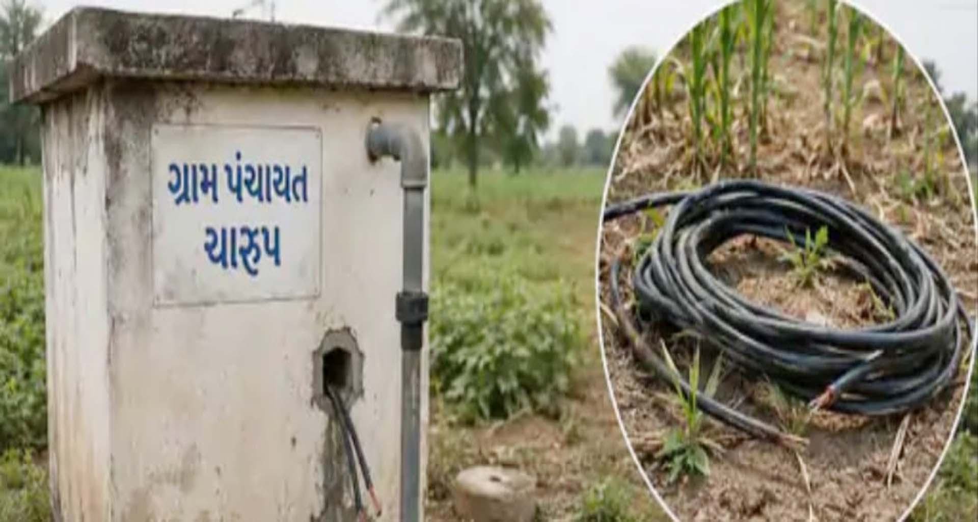પાટણ જિલ્લાના સરસ્વતી પંથકમાં કેબલ ચોર ગેંગ સક્રિય: ચારૂપ ગામે બે સ્થળોએ ત્રાટકેલા તસ્કરો ₹40 હજારનો મુદ્દામાલ લઈ ફરાર
