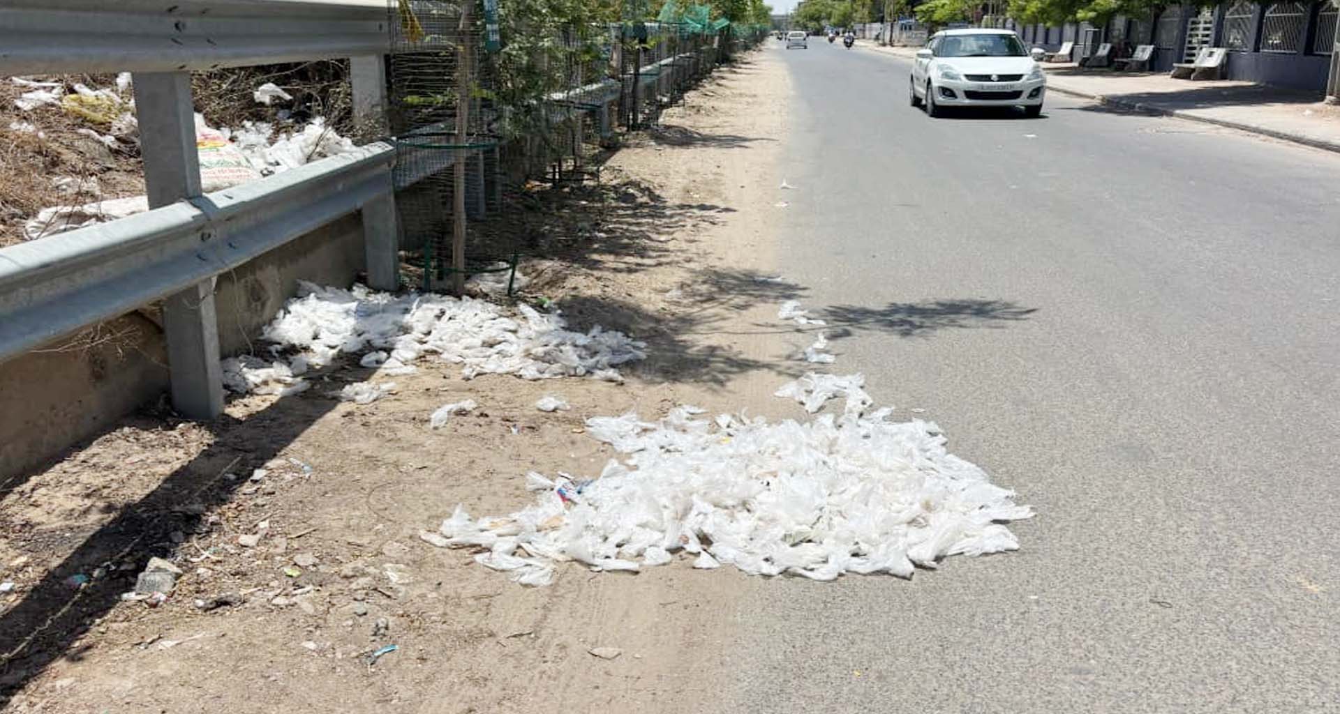 પાટણમાં દારૂબંધી માત્ર કાગળ પર? જાહેર રસ્તા પર દારૂની પોટલીઓ દેખાતા તંત્ર સામે સવાલ