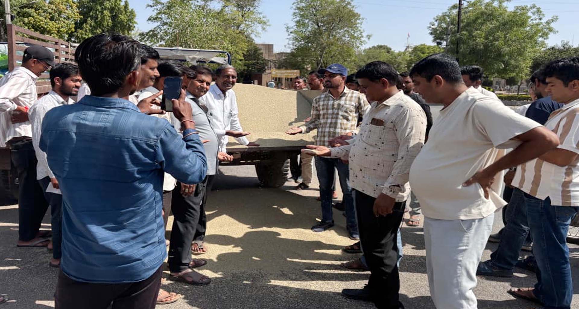 જણસીની આવક : ડીસા માર્કેટયાર્ડોમાં ઉનાળુ સીઝનની નવી બાજરીની આવક શરૂ 
