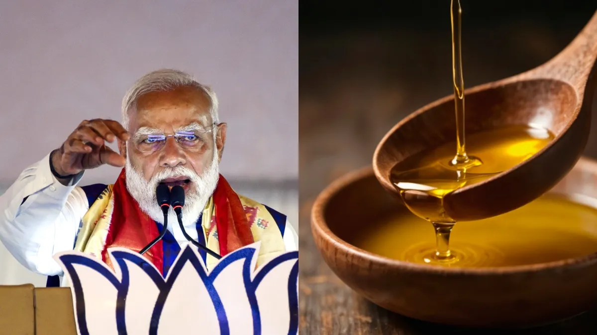 PM મોદી વારંવાર દેશના લોકોને ઓછું તેલ વાપરવાનું કેમ કહી રહ્યા છે, આનાથી શું ફાયદો થશે, જાણો...