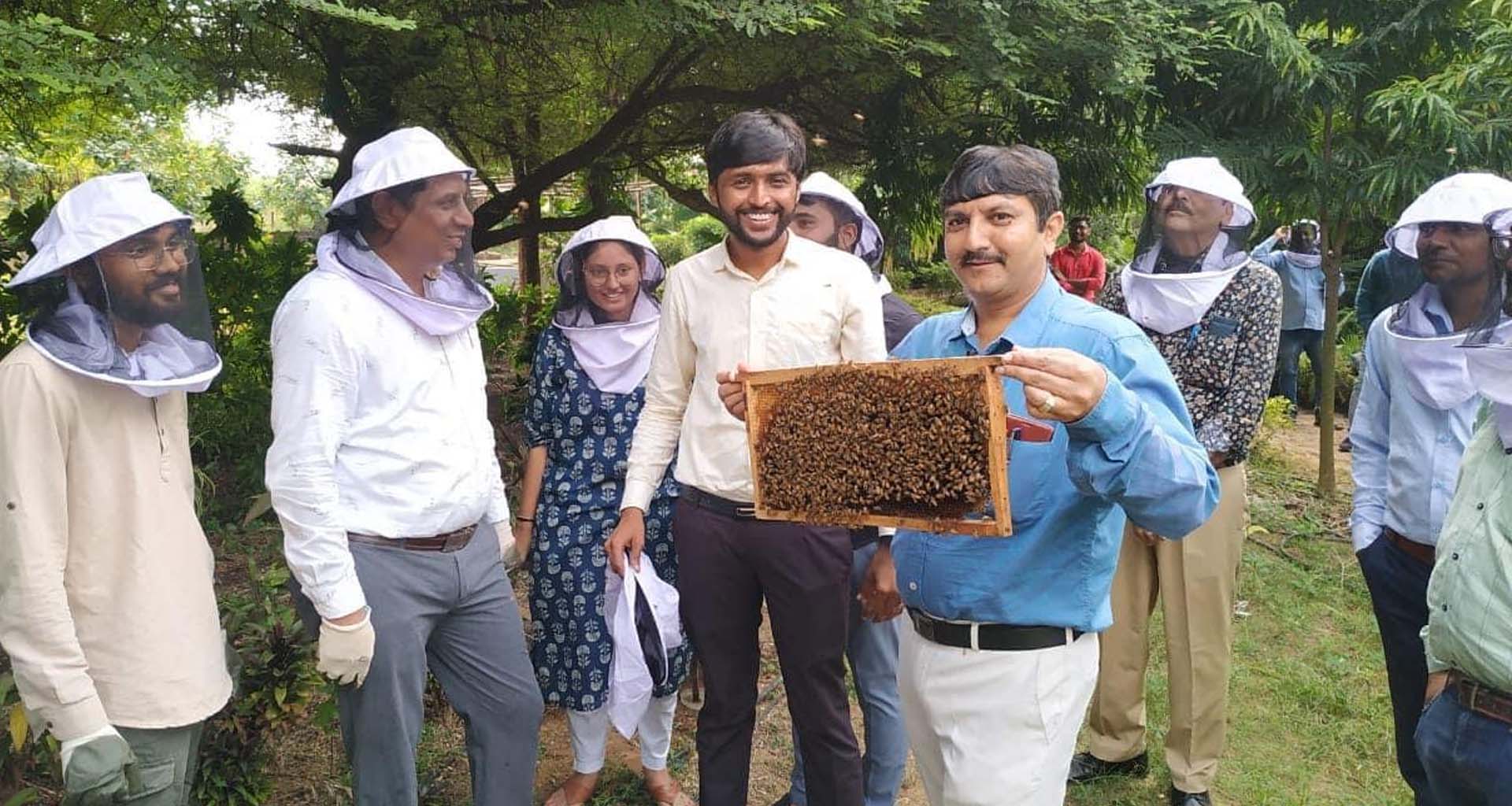 બાગાયતી ખેતીનો દબદબો: સાબરકાંઠાના ખેડૂતોના ખાતામાં ₹૭૪.૪૦ કરોડ જમા