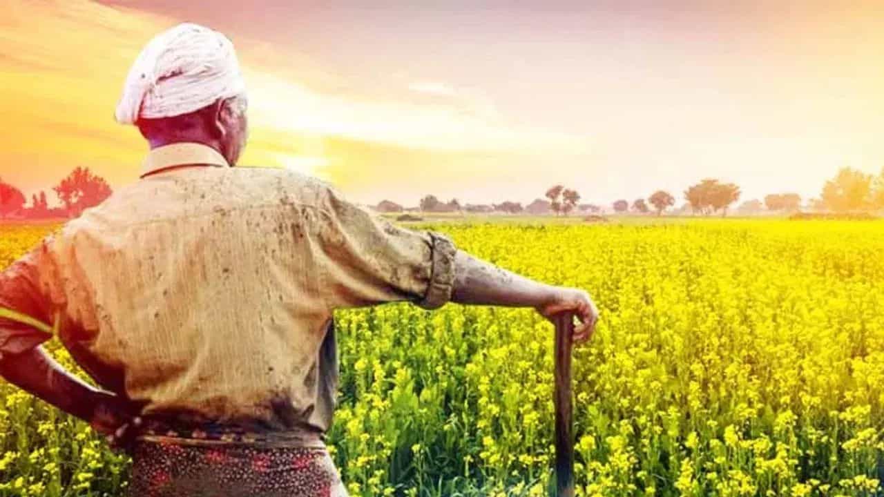 ખેડૂતો માટે સારા સમાચાર! પીએમ કિસાનનો 23મો હપ્તો આ તારીખે ખાતામાં જમા થશે