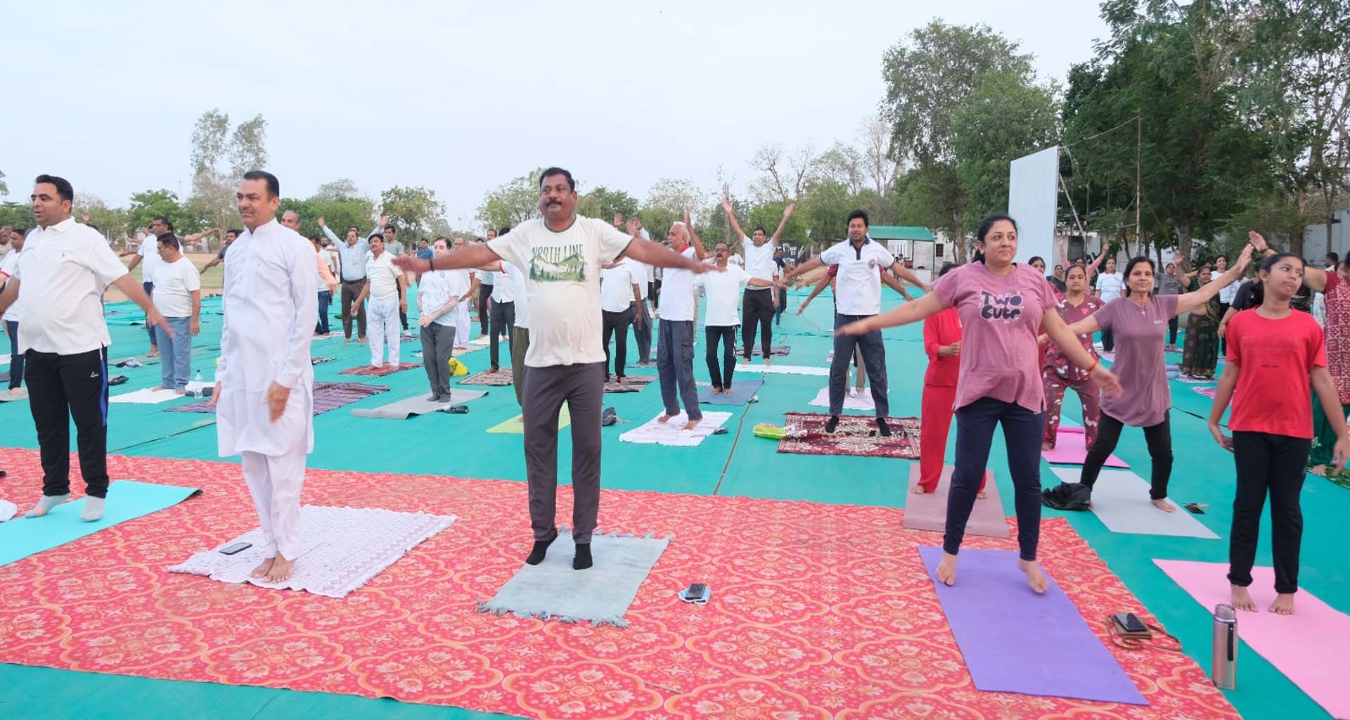 ડીસાના ટીસીડી ગ્રાઉન્ડ ખાતે યોગ દિવસની ભવ્ય ઉજવણી