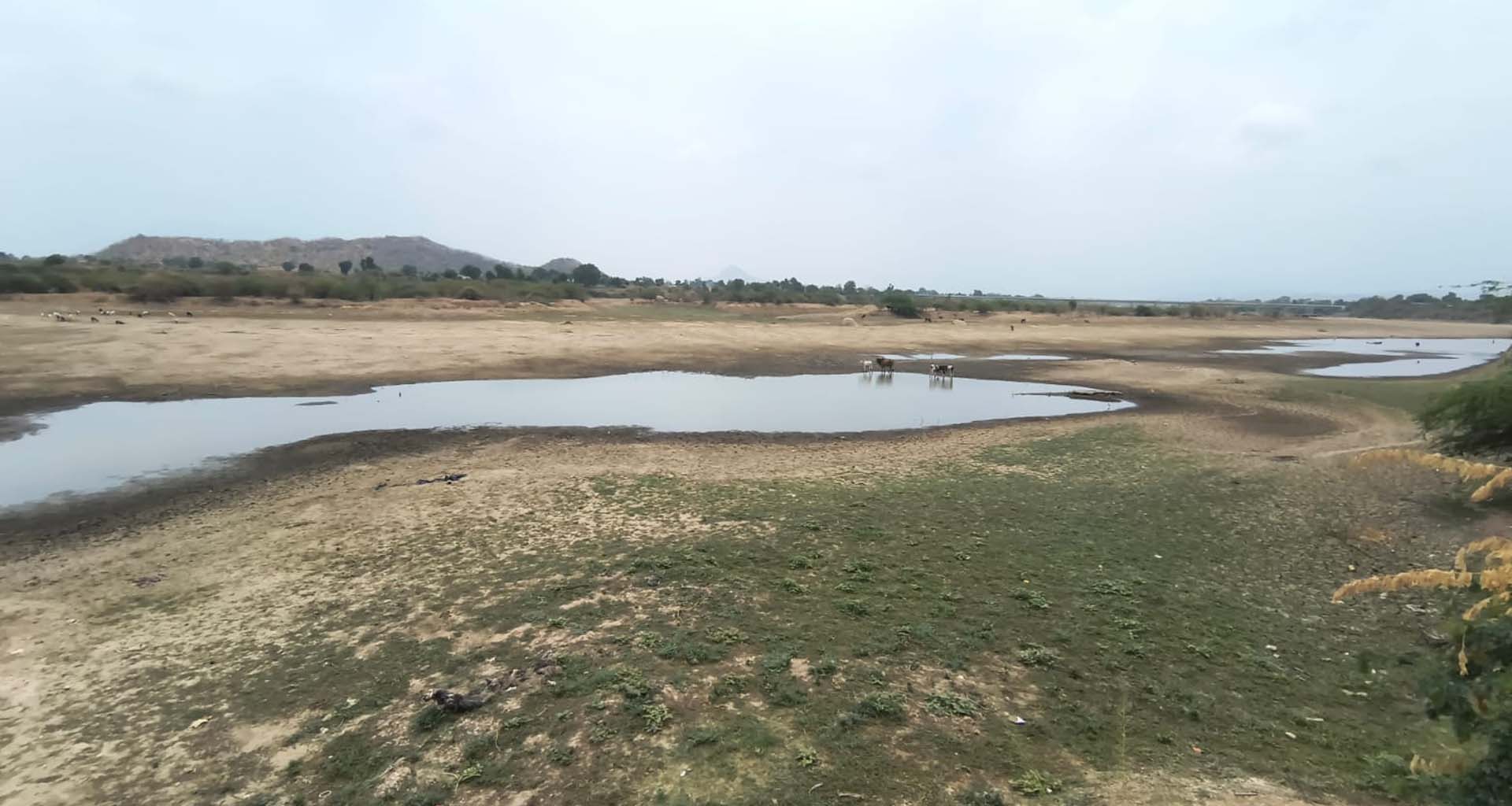 બનાસકાંઠામાં વરસાદની ખેંચ: જળાશયોના તળિયા દેખાયા