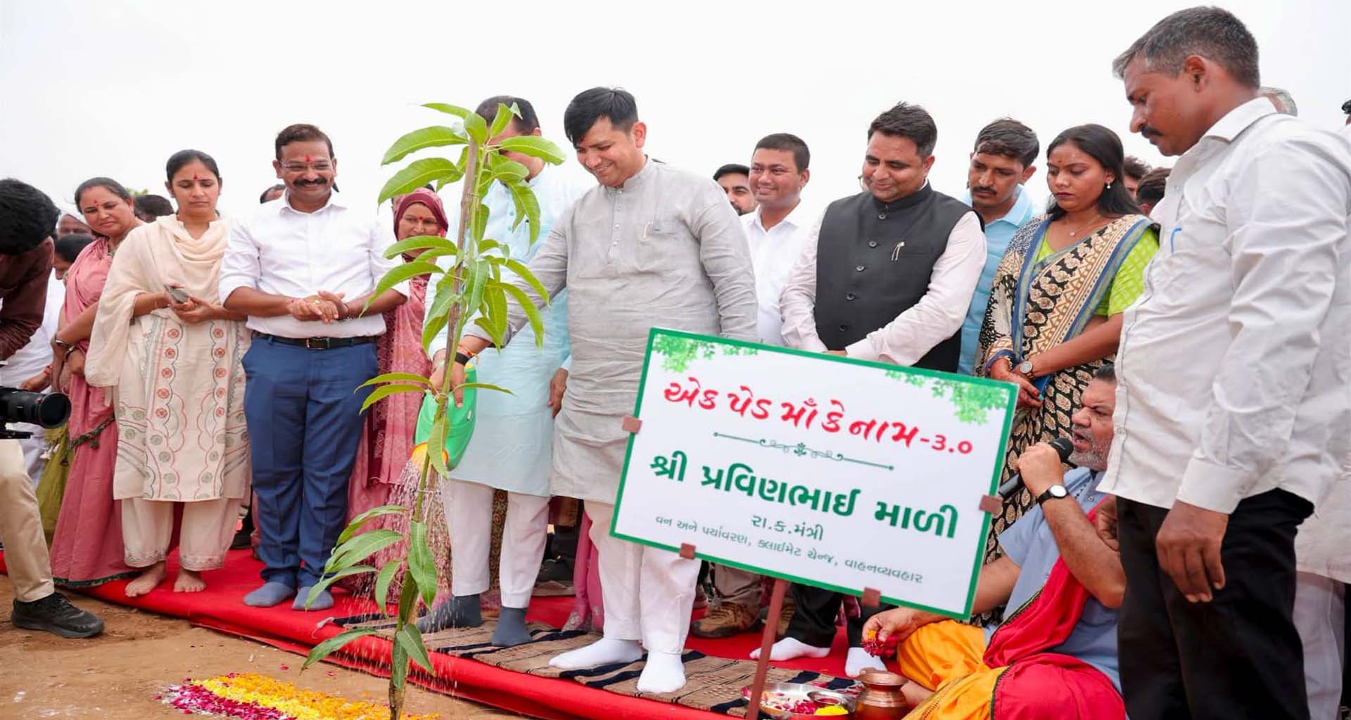 ડીસાના ડાવસમાં ગ્રીન ક્રાંતિ: 112 એકરમાં રાજ્યનું સૌપ્રથમ 'વન કવચ' તૈયાર