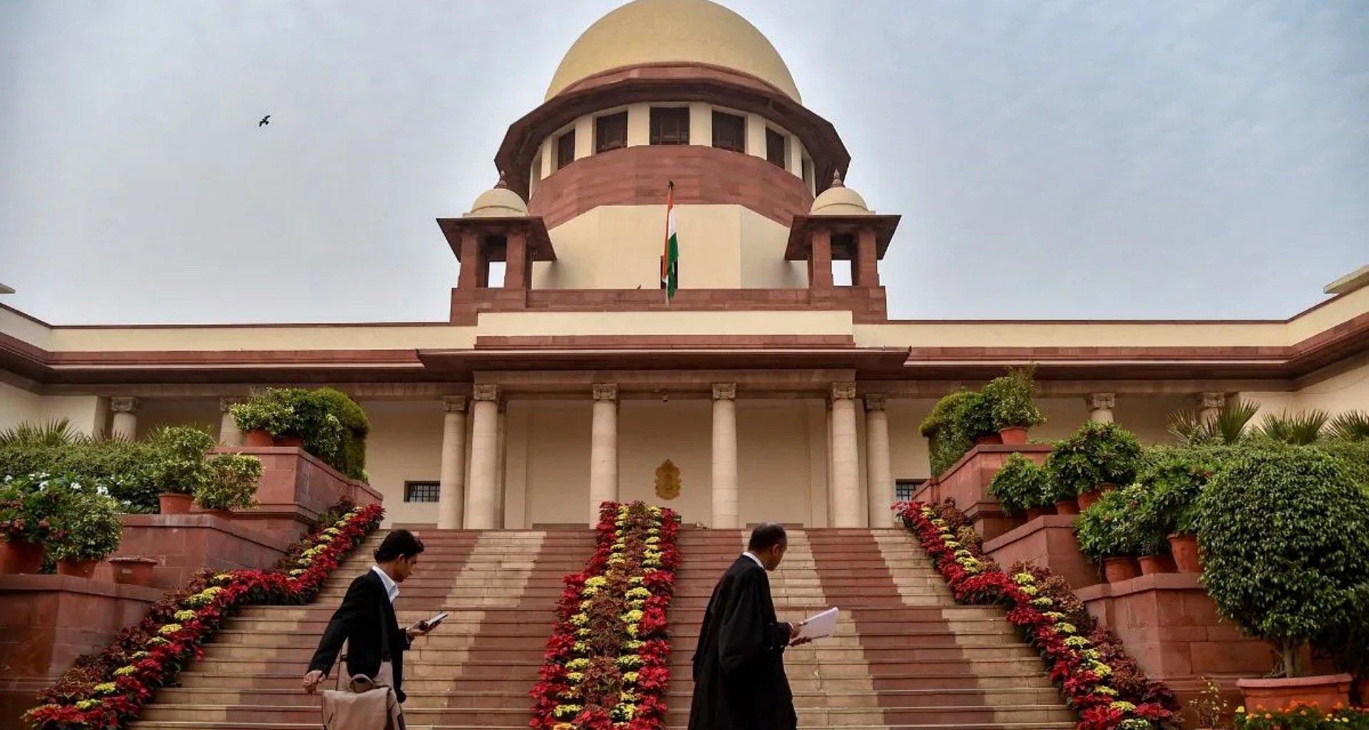 સુપ્રીમ કોર્ટે રખડતા કૂતરાઓના મુદ્દા પર કરી સુનાવણી, લેવાયો આ નિર્ણય