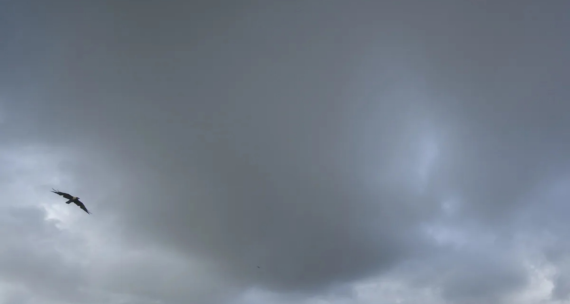 આગામી ચાર દિવસ સુધી દેશના આ રાજ્યમાં ભારે વરસાદની આગાહી, હવામાન વિભાગે એલર્ટ જાહેર કર્યું