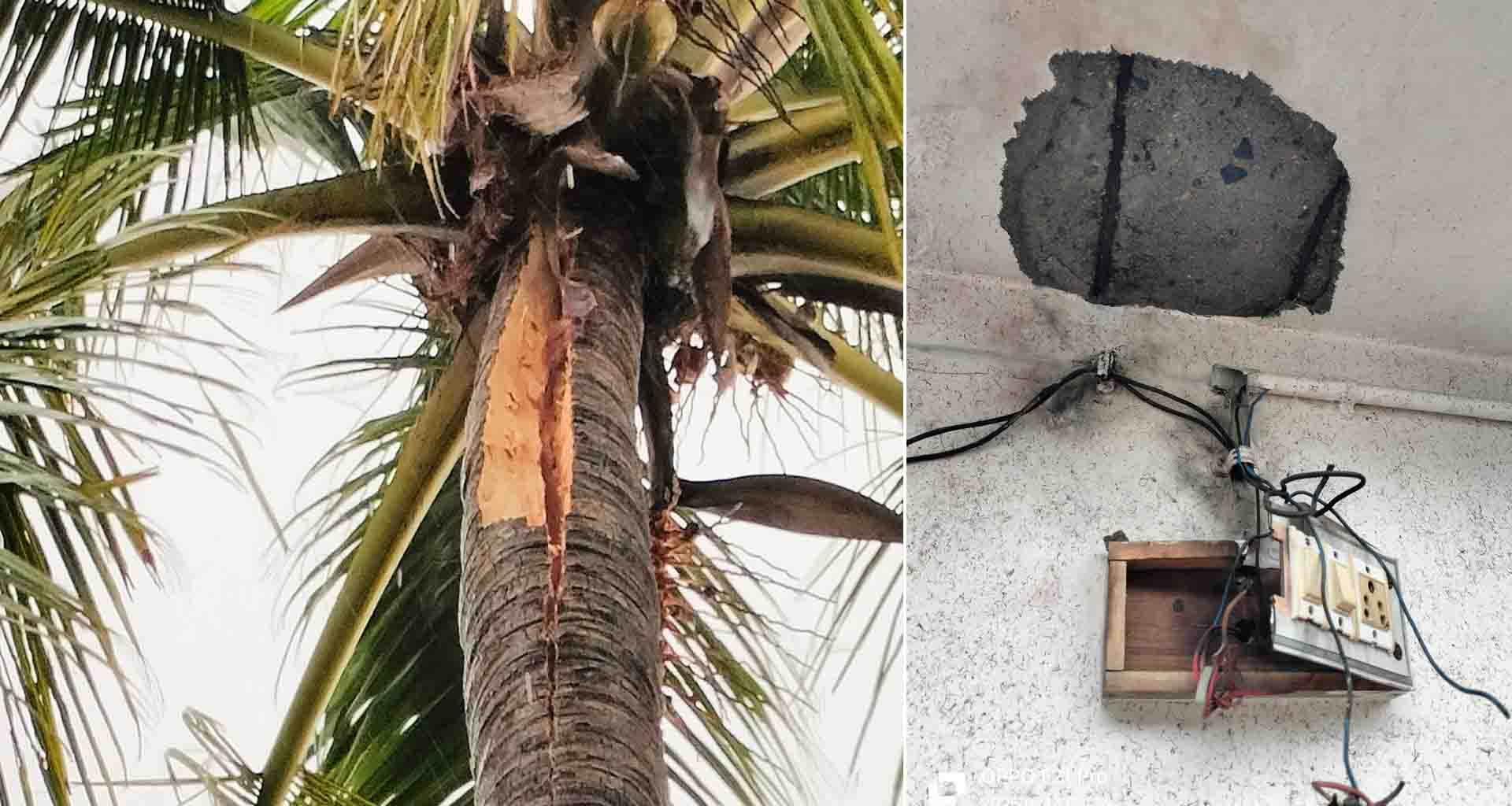 ગોગાઢાણી માં ખેડૂતના ઘર પર વીજળી ત્રાટકી; વીજ ઉપકરણો બળીને ખાખ