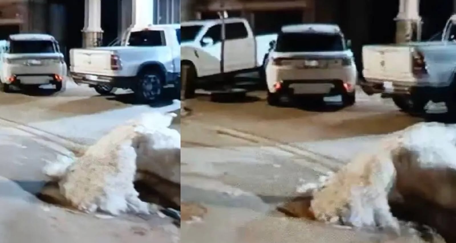 કેનેડામાં બીજા દિવસે રોહિત ગોદારા-ગોલ્ડી બ્રાર ગેંગે ગોળીબાર