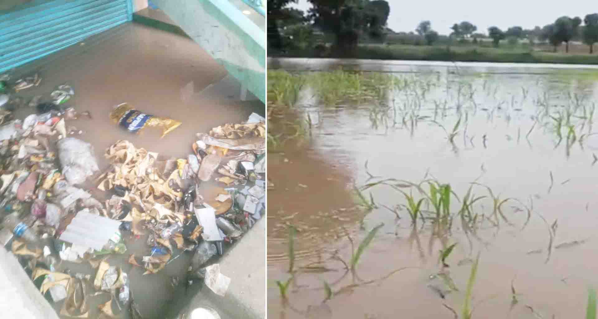 લાખણી સહિત તાલુકામાં ધોધમાર વરસાદ થી ખેતરો બેટમાં ફેરવાયા