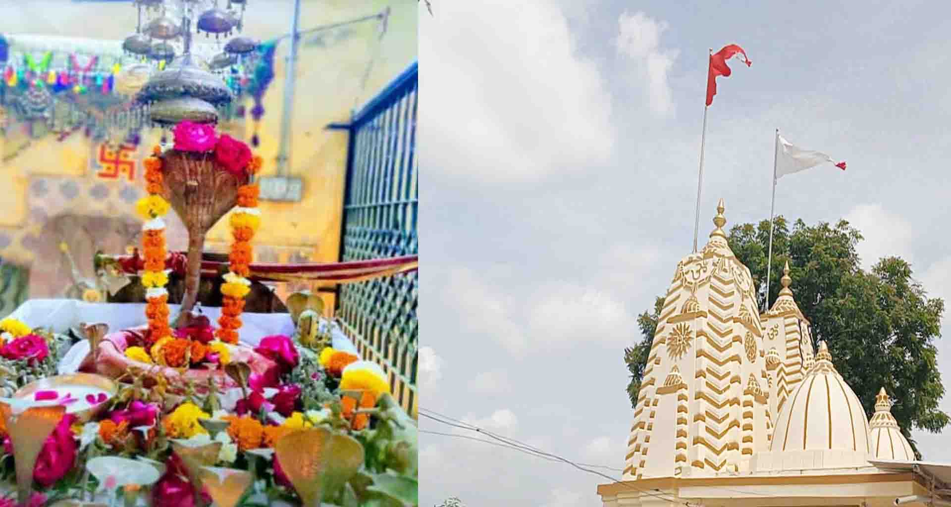 પર્વોની વણઝાર : આજે બોળ ચોથ અને નાગપંચમીથી પારણા નવમી સુધી સળંગ તહેવાર ઉજવાશે