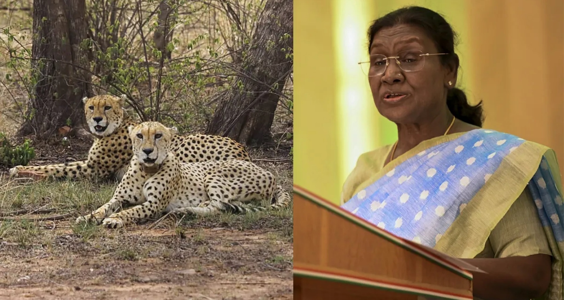 દિલ્હી, મુંબઈ, ચેન્નાઈ, ત્રિવેન્દ્રમ, હૈદરાબાદ - પાંચ આંતરરાષ્ટ્રીય એરપોર્ટ પર બોમ્બની ધમકીઓથી ગભરાટ ફેલાયો