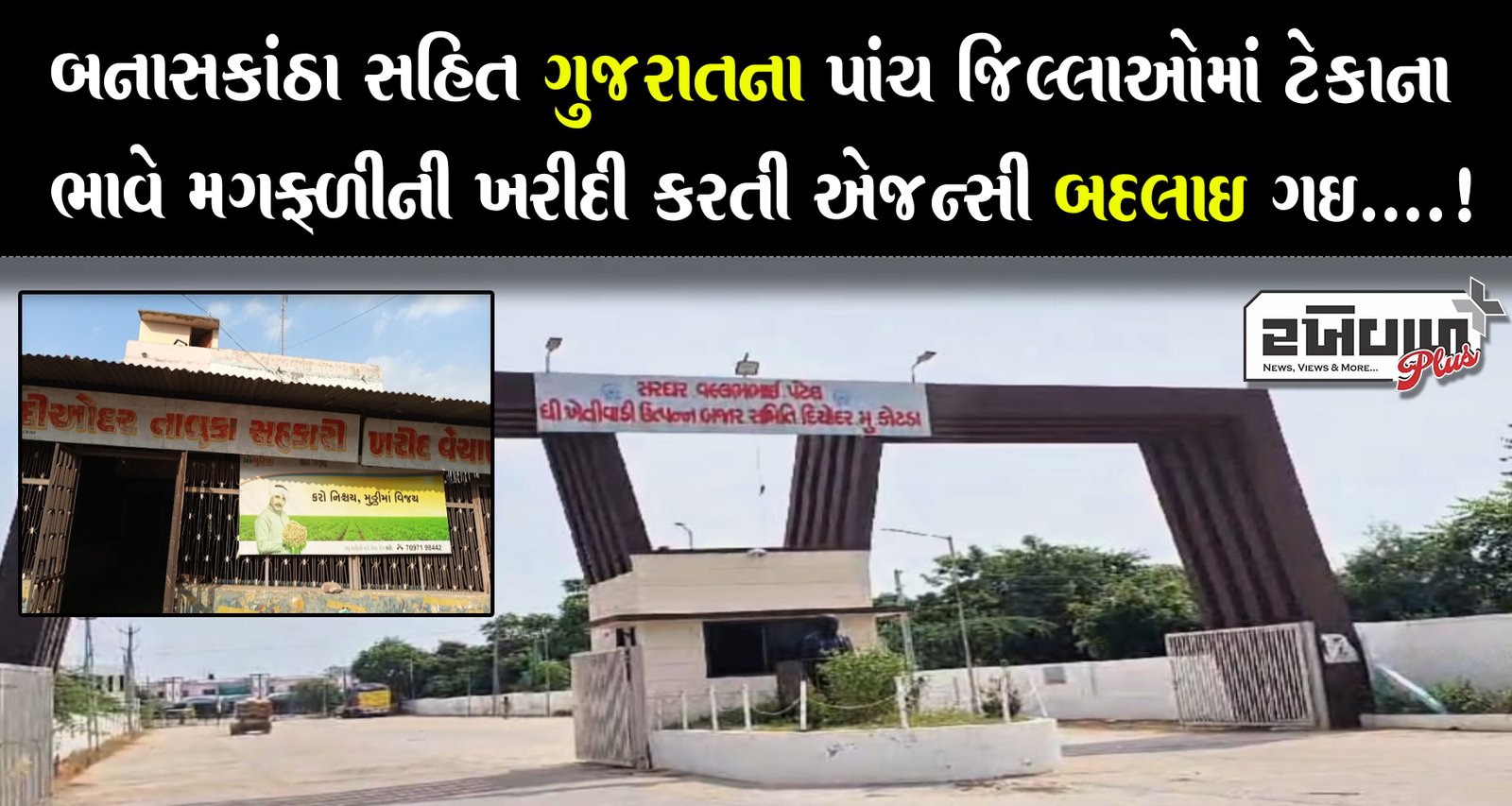 બનાસકાંઠા સહિત ગુજરાતના પાંચ જિલ્લાઓમાં ટેકાના ભાવે મગફળીની ખરીદી કરતી એજન્સી બદલાઈ ગઈ....!