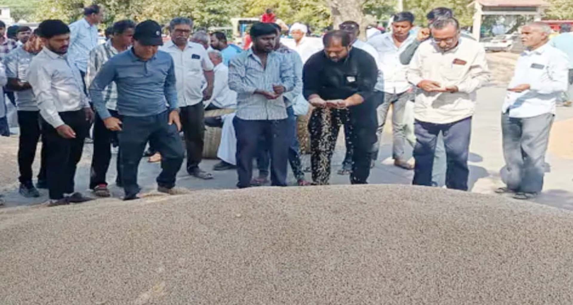 હારીજ માર્કેટયાર્ડમાં એક માસમાં 50 હજારથી વધુ તુવેર બોરીની રેકોર્ડબ્રેક આવક