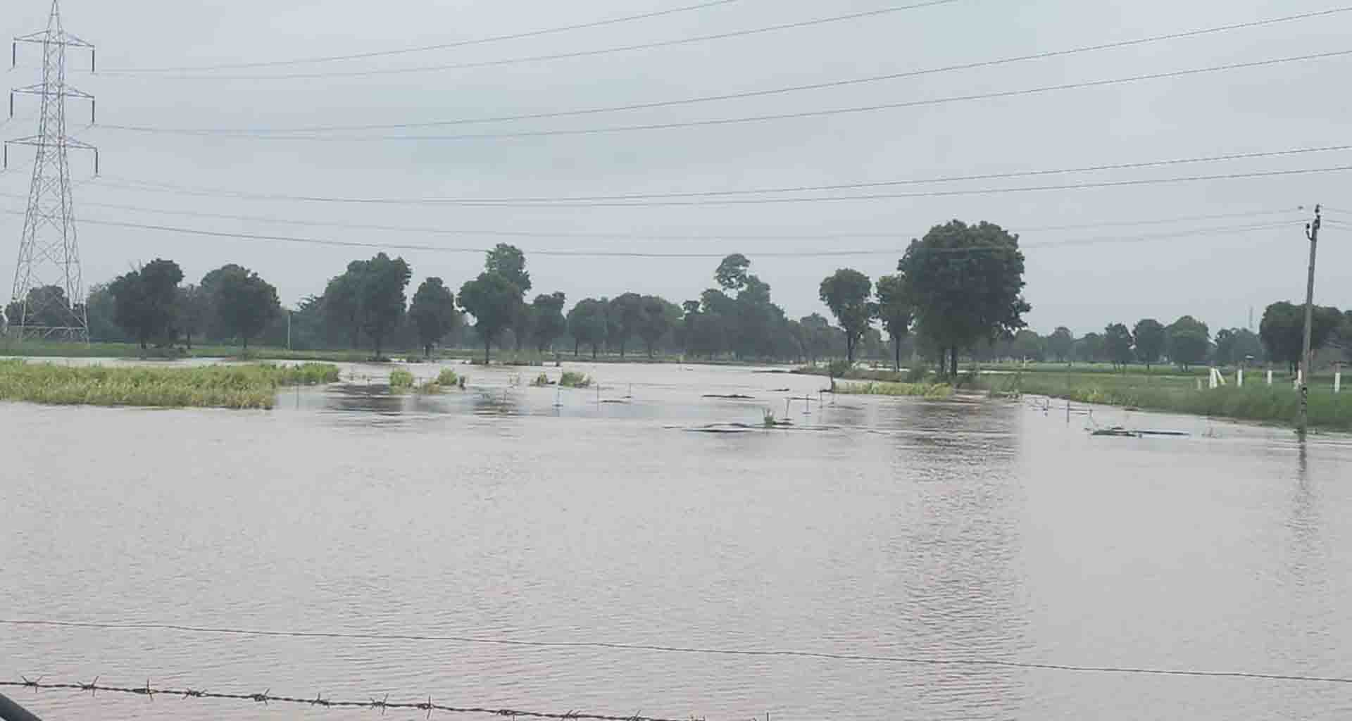 ડીસા તાલુકામાં 4 ઇંચ વરસાદ: જળબંબાકારથી ગ્રામ્ય વિસ્તારોમાં સ્થિતિ ગંભીર