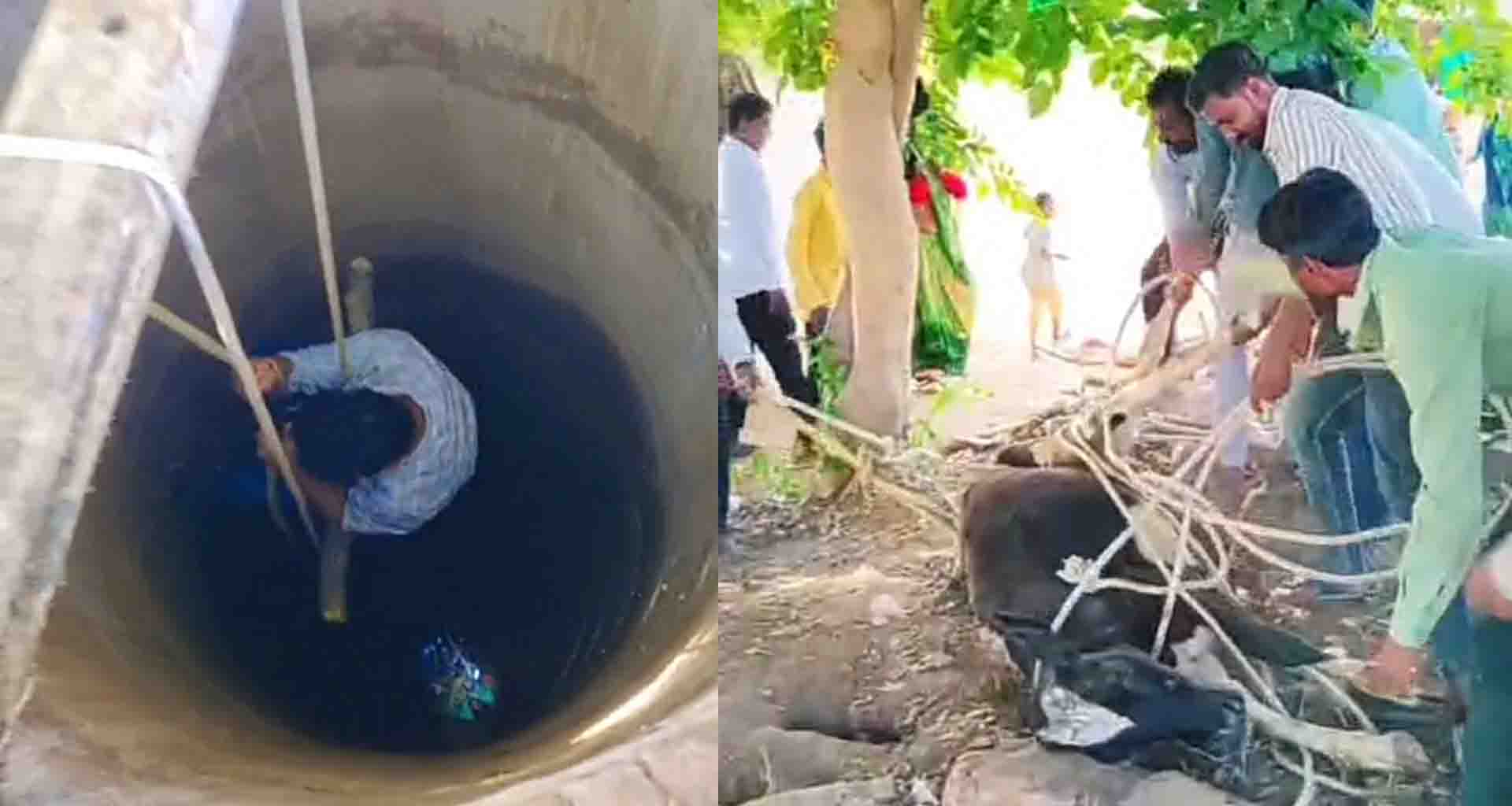 કાંકરેજ તાલુકાના વડામાં ખેતરમાં આવેલા કુવામાં ગાય પડી જતાં રેસ્ક્યુ કરાયું