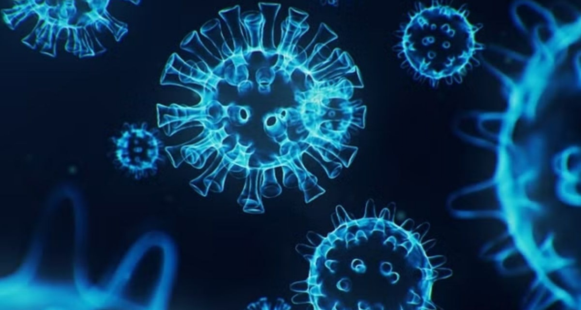 2001માં પહેલીવાર HMP વાયરસ મળી આવ્યો હતો, શું સુરક્ષા માટે 24 વર્ષમાં કોઈ રસી બનાવવામાં આવી છે?