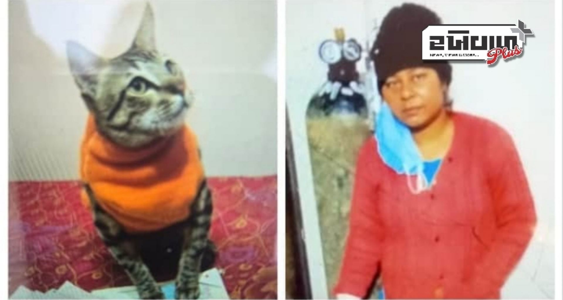 પાલતુ બિલાડીના મૃત્યુથી નારાજ, યુપીની મહિલાએ બે દિવસ સુધી લાશને છુપાવી રાખ્યા બાદ કરી આત્મહત્યા