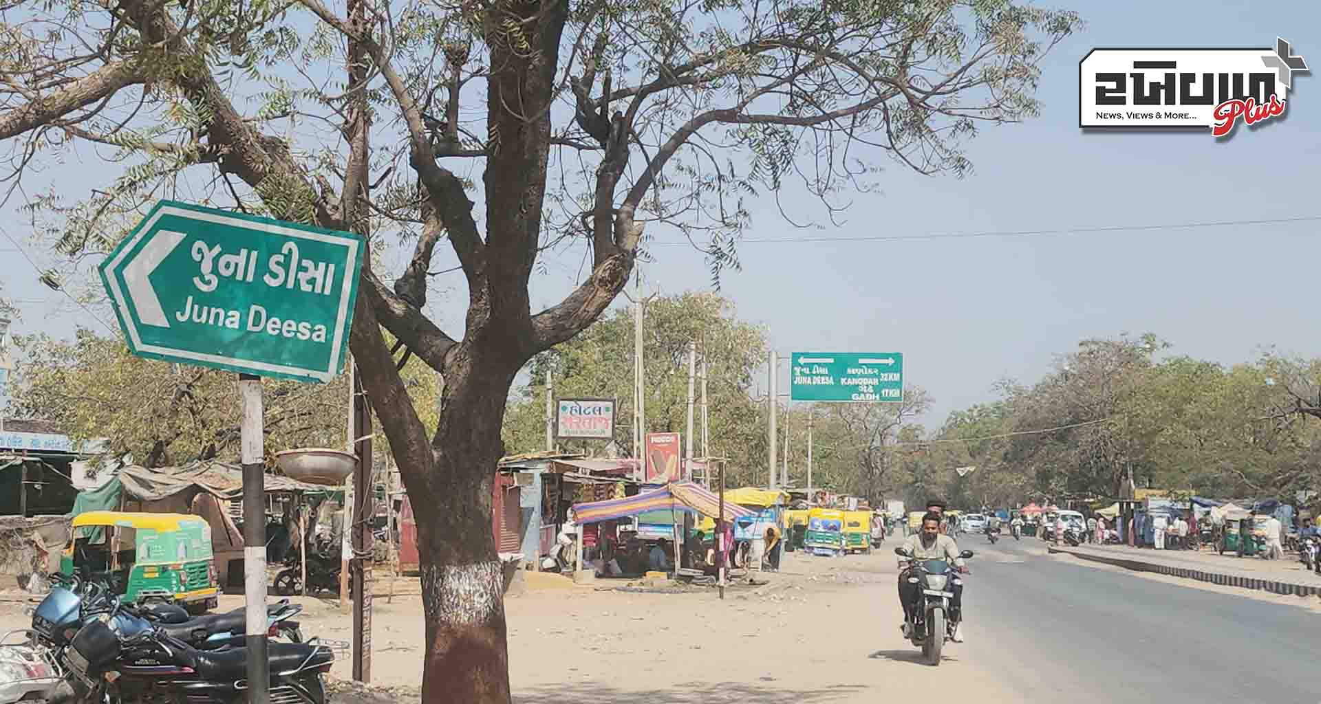 વિશ્વ કક્ષાનું વિશાળ પ્રાણી સંગ્રહાલય બનતાં સ્થાનિક કક્ષાએ રોજગારીની તકો વધશે