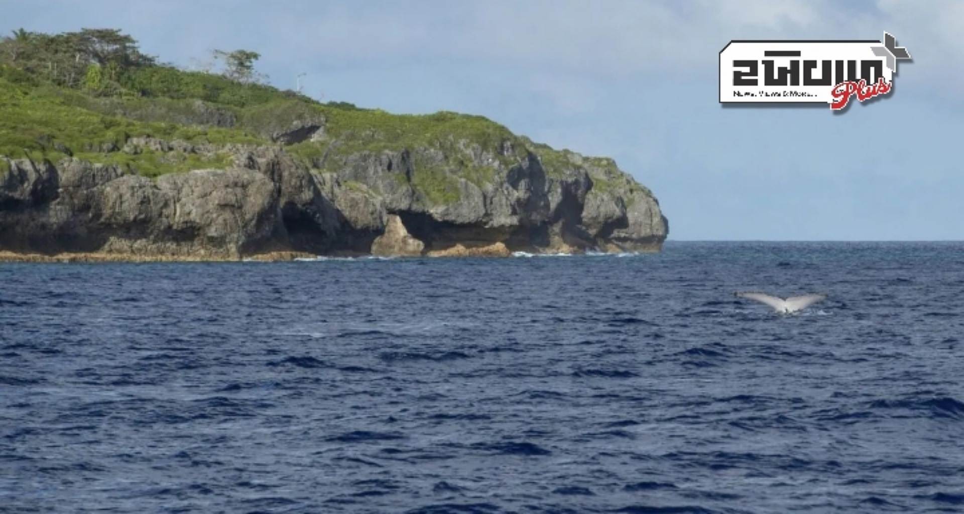 પેસિફિક મહાસાગરમાં બની દુનિયાની સૌથી અણધારી ઘટના, સંકેતો મળતા જ વૈજ્ઞાનિકો થઈ ગયા આશ્ચર્યચકિત