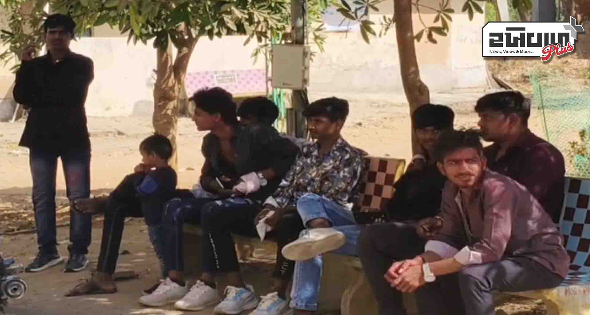 વડનગર-ખેરાલુ હાઇવે પર ડીજેના મોટા અવાજના કારણે ભમરાઓનું ઝુંડ ત્રાટક્યું