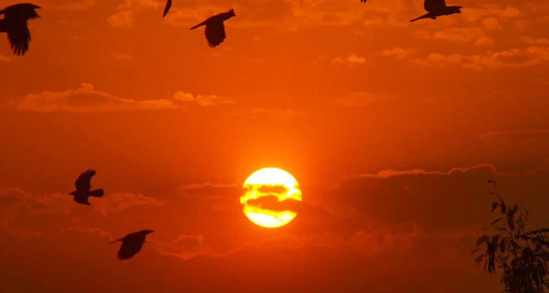 ચામડી દઝાડતી ગરમી માટે રહો તૈયાર!