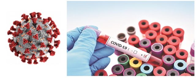 કોવિડ-19: 182 કેસ નોંધાયા, કેરળમાં આરોગ્ય મંત્રીએ માસ્કનો ઉપયોગ અને સાવચેતી રાખવાની વિનંતી કરી