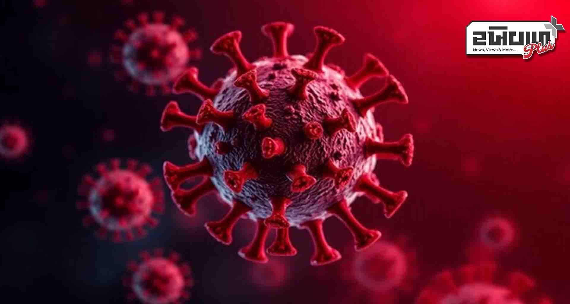 વાયરસના ભય વચ્ચે : હિંમતનગરમાં 8 વર્ષનું બાળક એચએમપીવી પોઝિટિવ