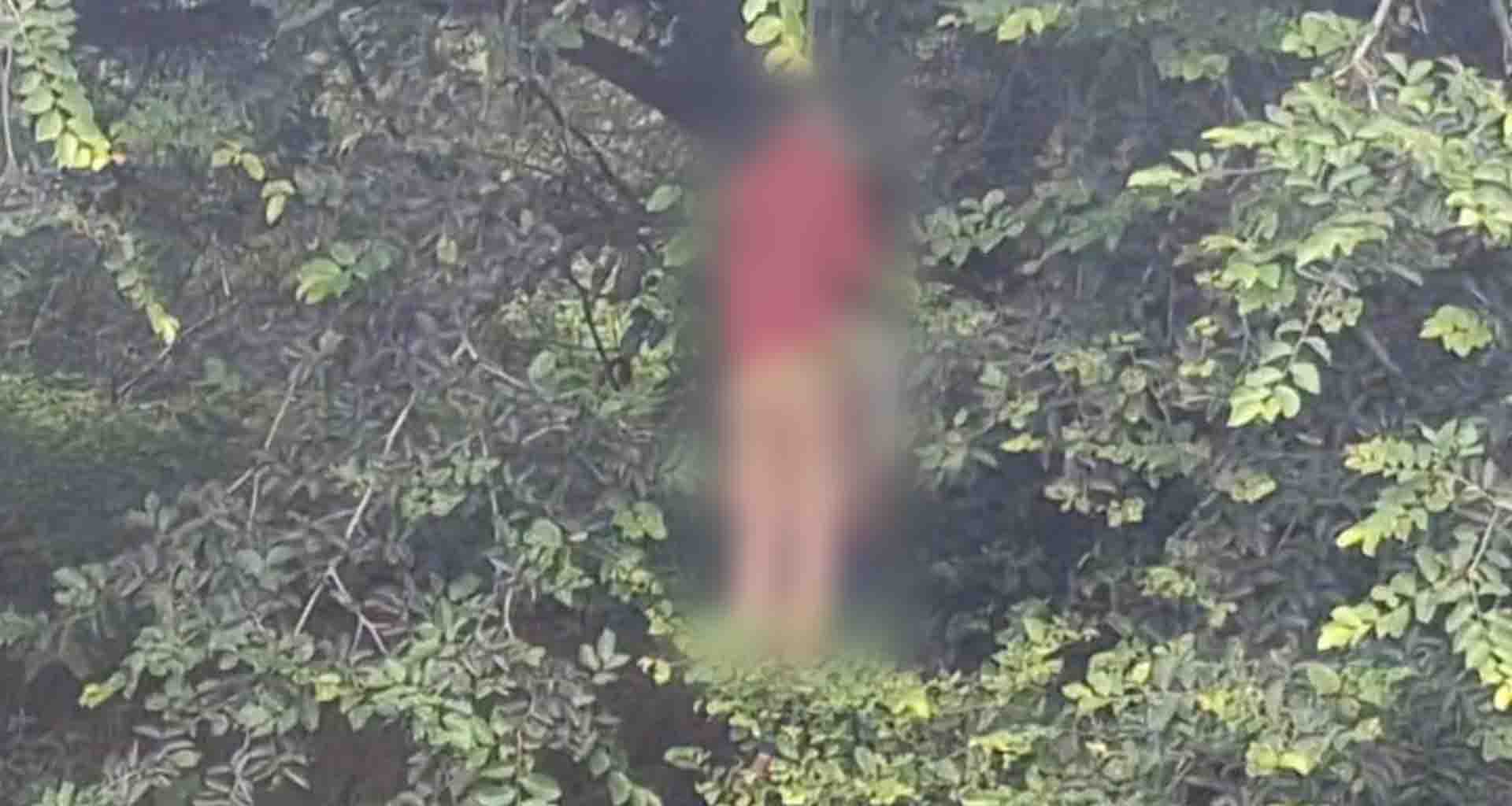 વડનગરના વલાસણ ગામે ઝાડ પર લટકતી હાલતમાં યુવક અને યુવતીની લાશ મળતાં હાહાકાર