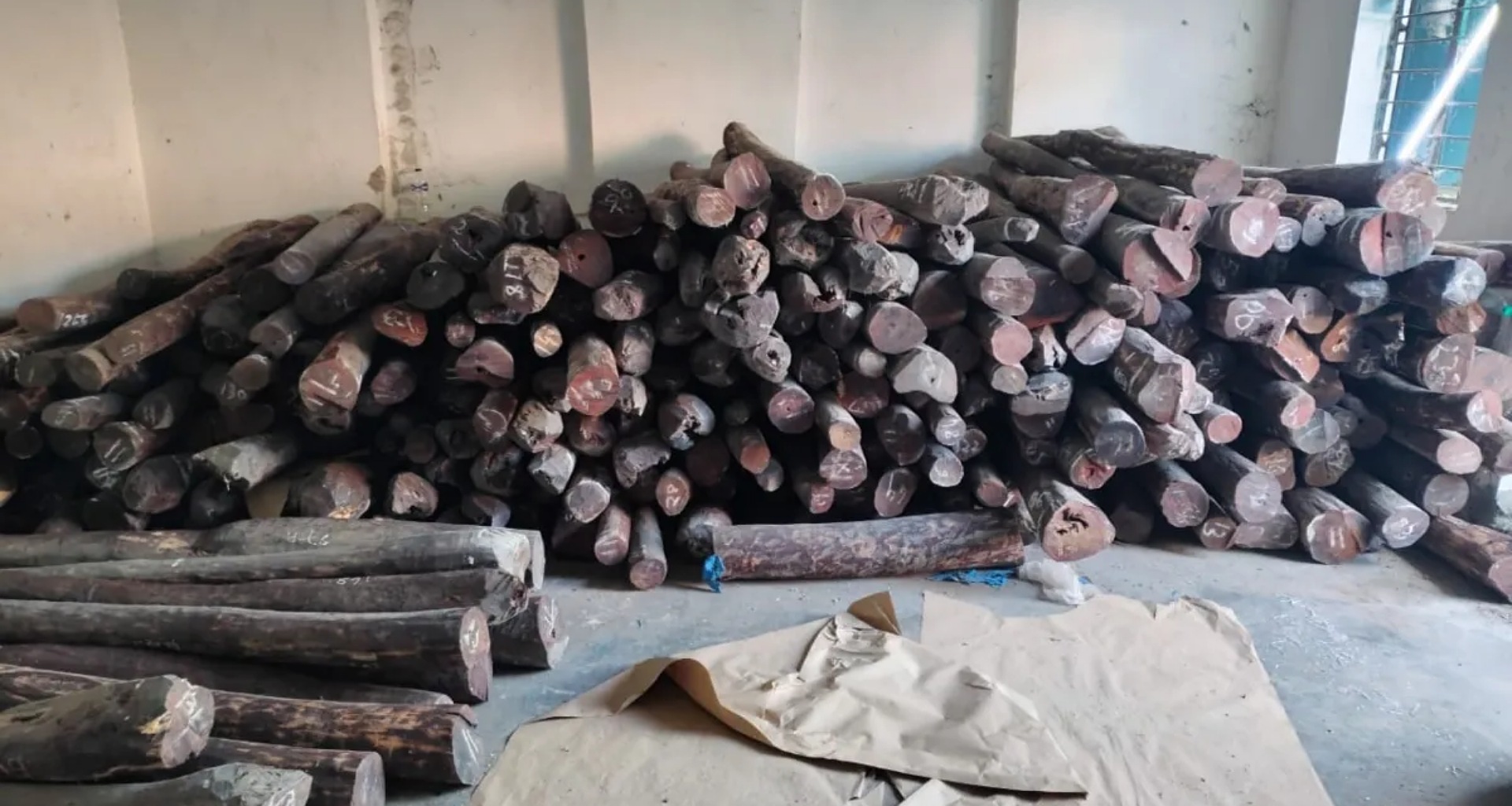 દિલ્હી પોલીસ STF એ 10 ટન લાલ ચંદન જપ્ત કર્યું, કિંમત જાણીને તમે ચોંકી જશો