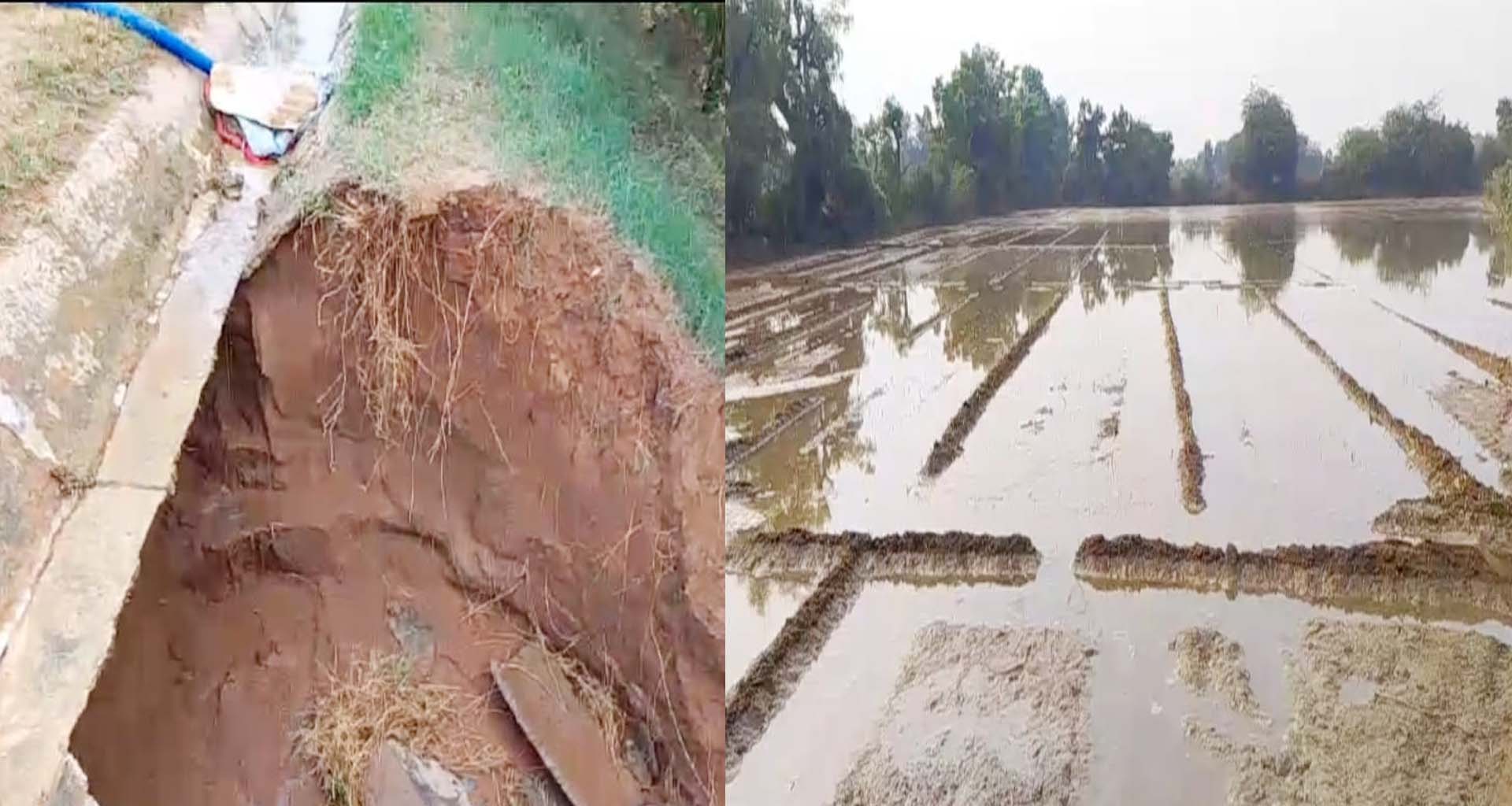 ભાભરની ચેમ્બુવા માઈનોર કેનાલમાં ગાબડું :  ખેતરો જળબંબાકાર બન્યા