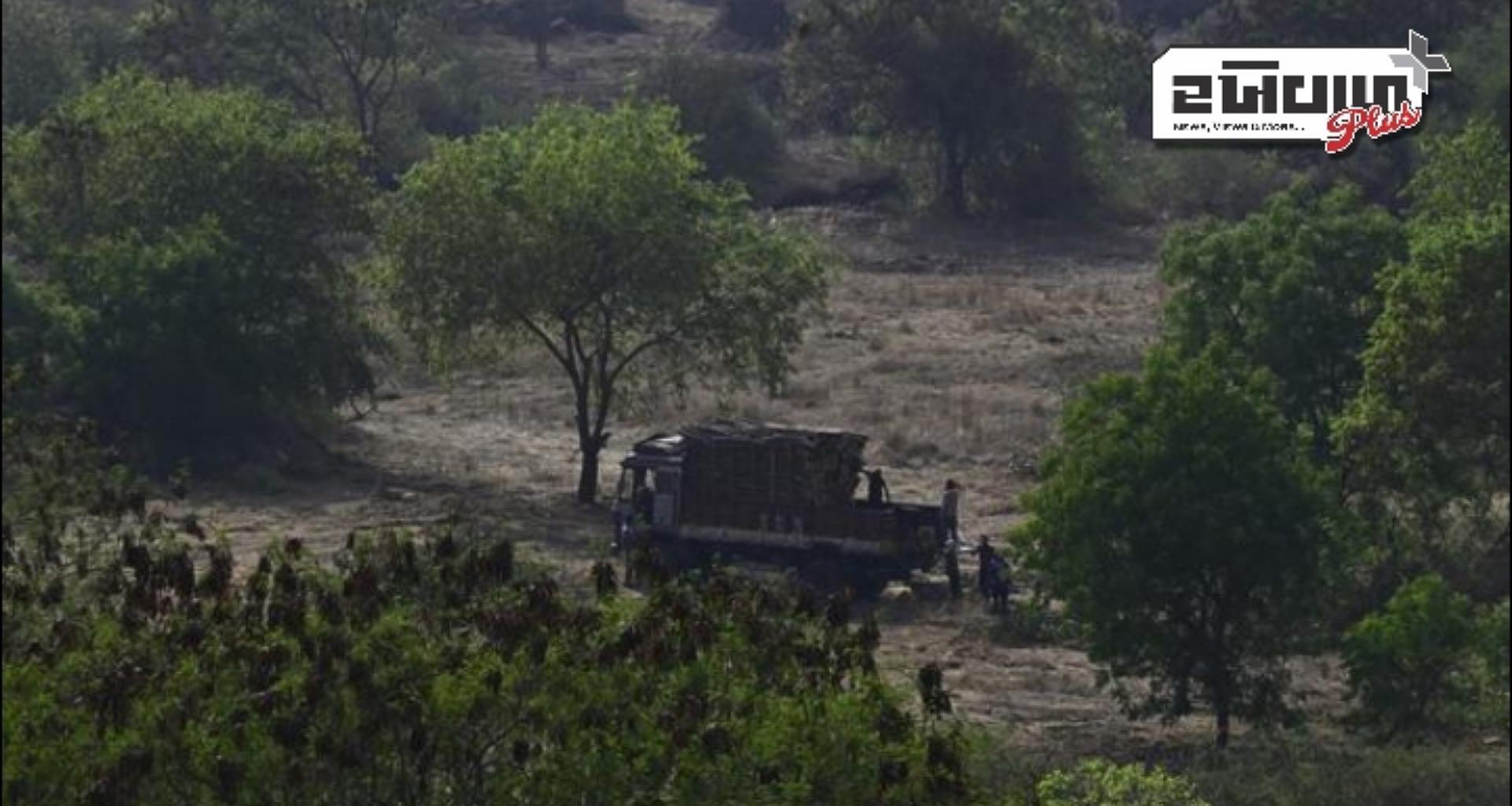 સુપ્રીમ કોર્ટે હૈદરાબાદના કાંચા ગચીબાઉલીમાં વૃક્ષ કાપવા પર રોક લગાવી