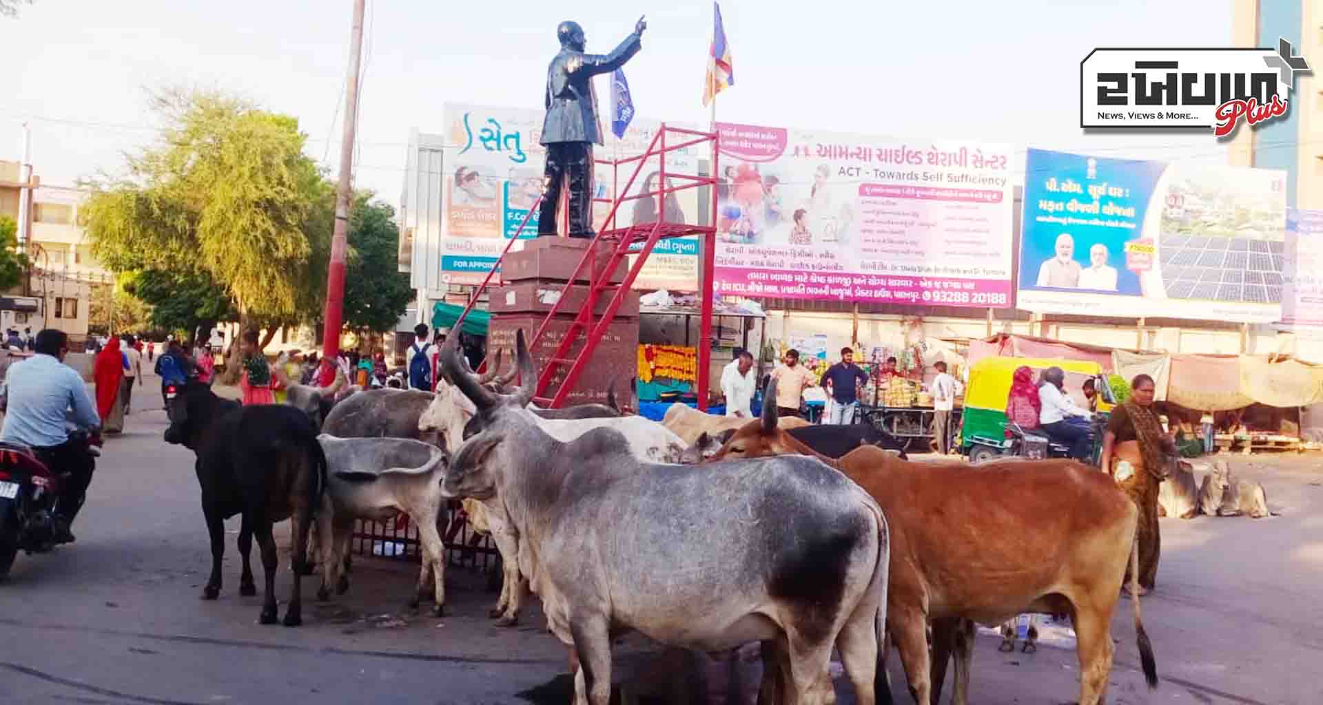 પાલનપુર શહેરમાં સીમલા ગેટ વિસ્તારમાં ટ્રાફિક વ્યવસ્થા ભગવાન ભરોસે?
