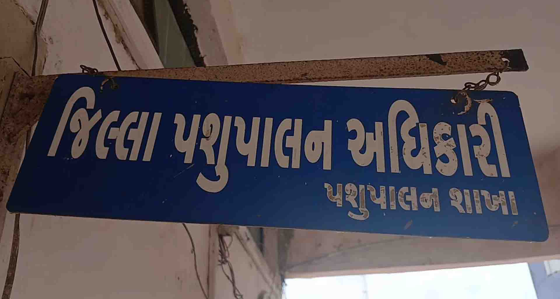 ફૂડ પોઈઝનિંગ થતાં પશુ મરણ અટકાવવા જિલ્લા નાયબ પશુપાલન અધિકારી દ્વારા સૂચન