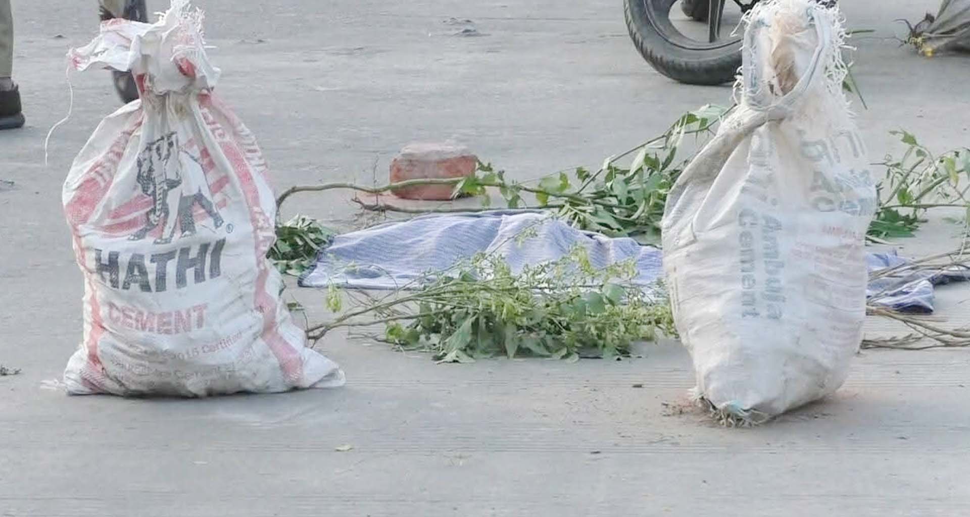 મહેસાણામાં અજાણ્યા માનવનું કપાયેલું અંગ મળતા ચકચાર