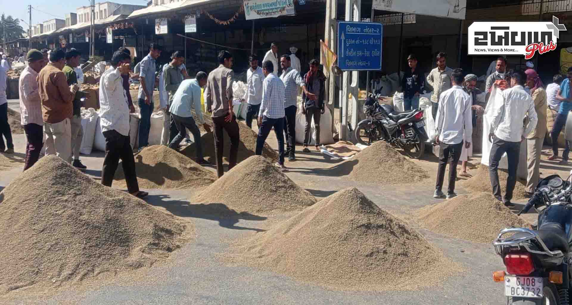 ડીસા એપીએમસીમાં નવા જીરાની આવક શરૂ-પ્રતિ મણ જીરાનો ભાવ 3500 થી 4150 રૂપિયા નોધાયો