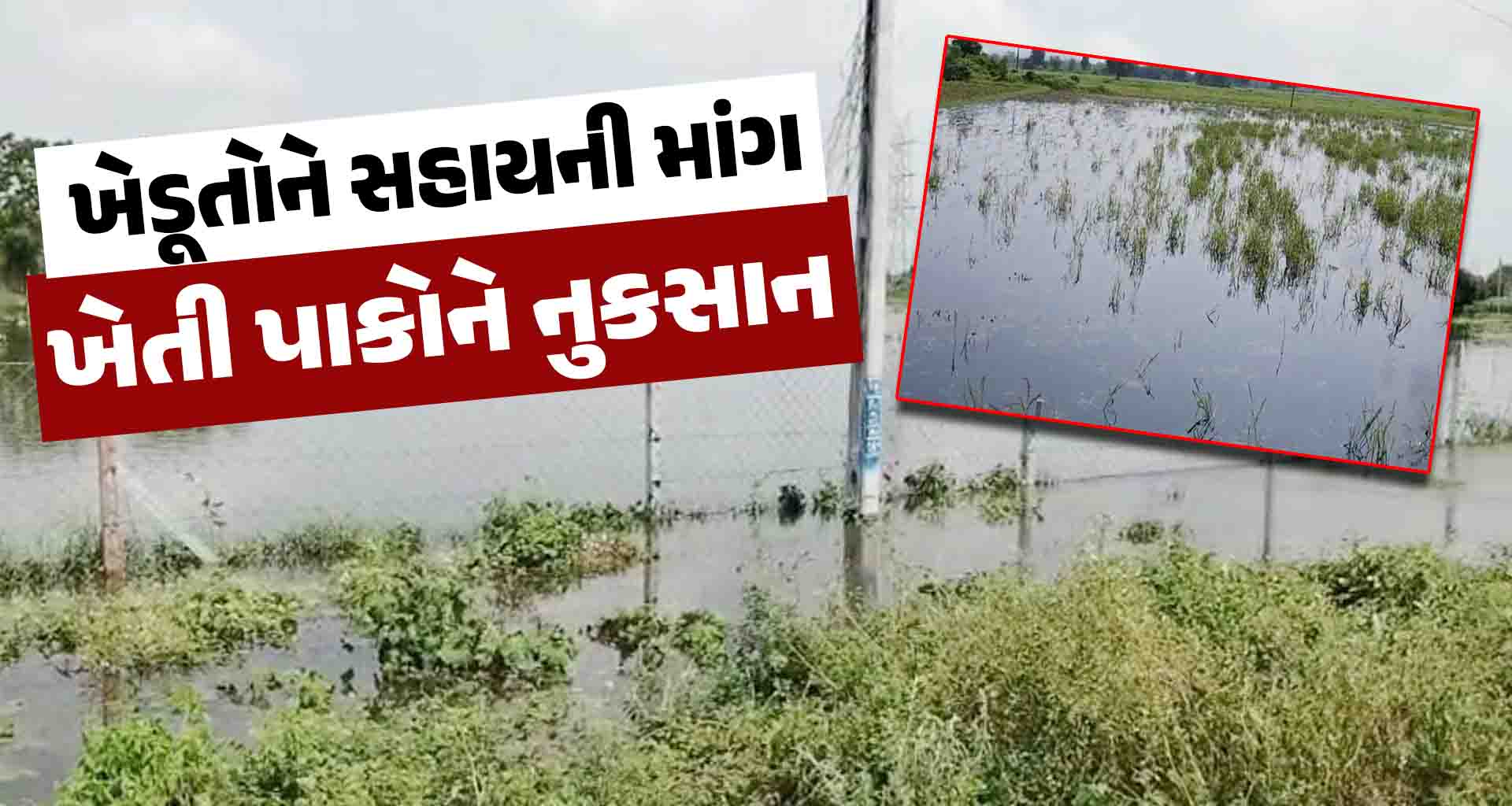 બનાસકાંઠા જિલ્લામાં ભારે વરસાદ ને લઇ ખેતી પાકોને નુકસાન ખેડૂતોને સહાયની માંગ