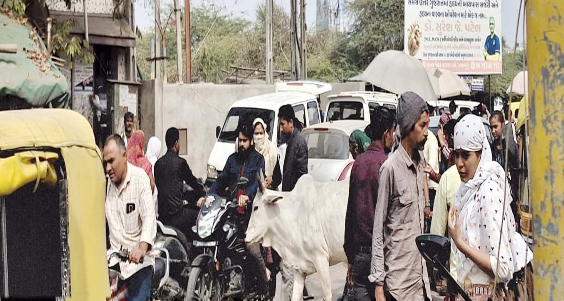 પાલનપુરમાં ટ્રાફિકની સમસ્યાથી નગરજનો ત્રસ્ત : ટ્રાફિક પોલીસની કામગીરીને લઈ સવાલો ઉઠ્યા