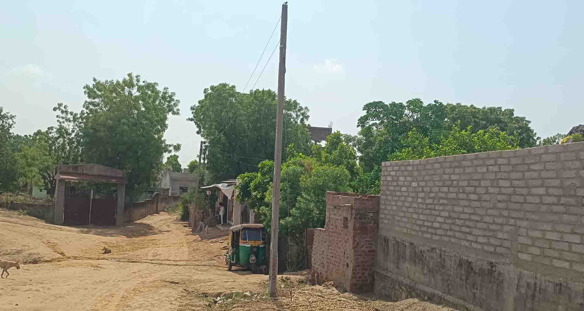 ડીસાના આસેડા ગામે જાહેર રસ્તા પર વીજ થાંભલા: ગ્રામજનો ત્રાહિમામ, પંચાયત અંધારામાં!