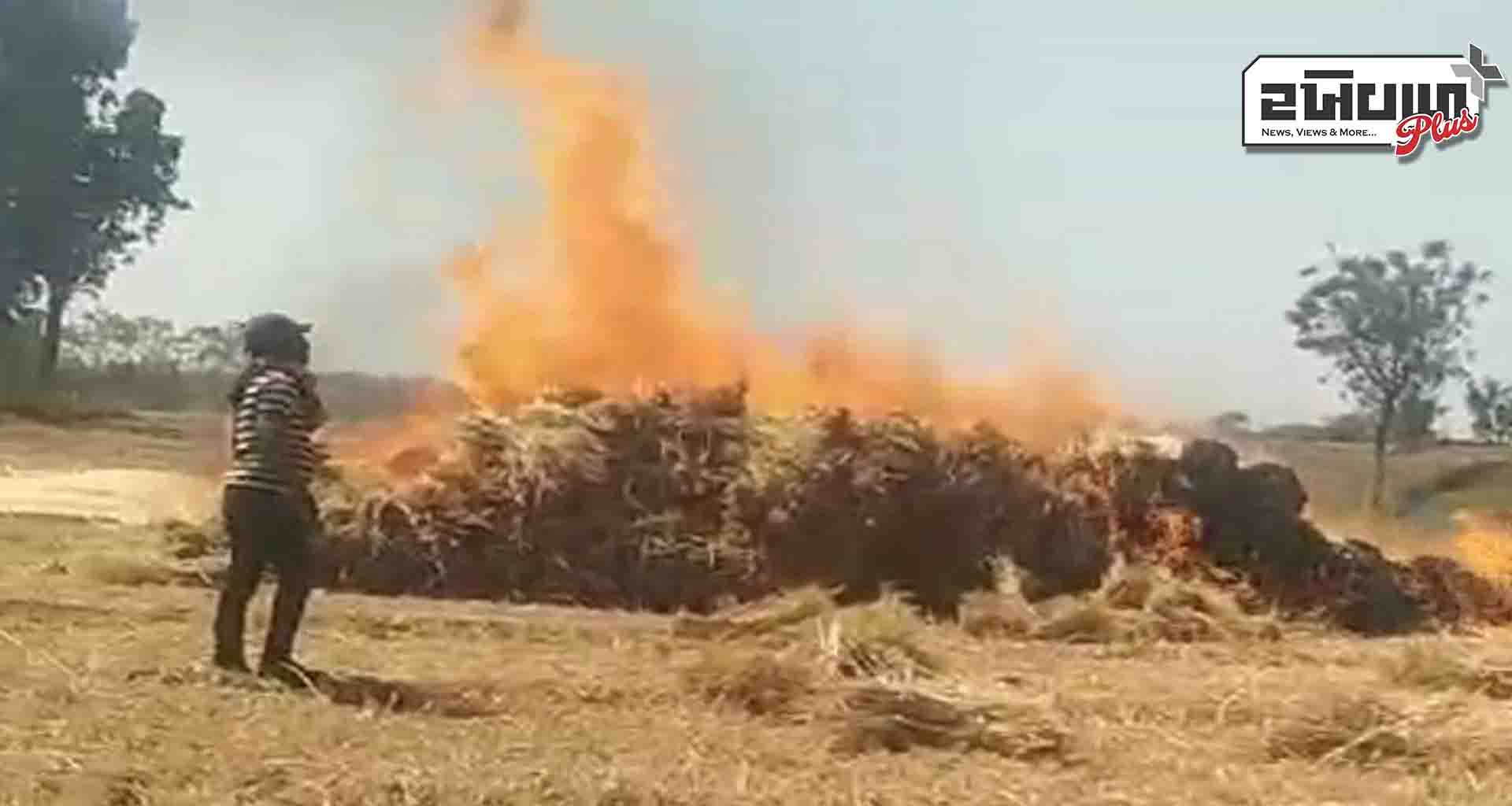 હિંમતનગર; વીજ વાયરમાંથી તણખાને કારણે ત્રણ વીઘા ઘઉંનો પાક બળીને ખાખ