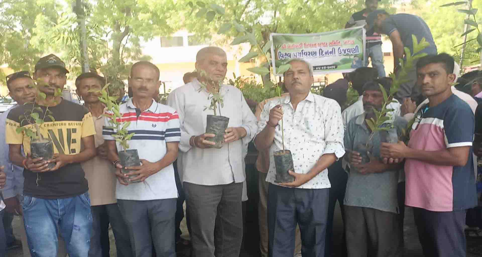 પાટણ માર્કેટયાર્ડ દ્વારા એક વૃક્ષ માકે નામ અંતગૅત વૃક્ષારોપણ સાથે વૃક્ષના રોપાઓનું વિતરણ કરાયું