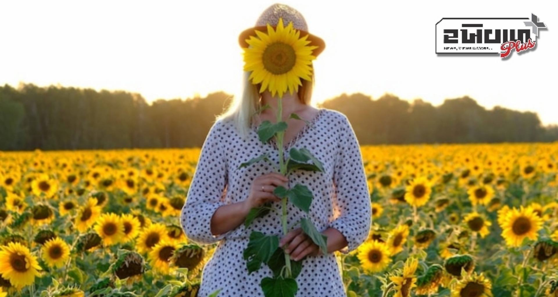 તમારા જીવનમાં પીળો રંગ કેટલો છે મહત્વ? જાણો..