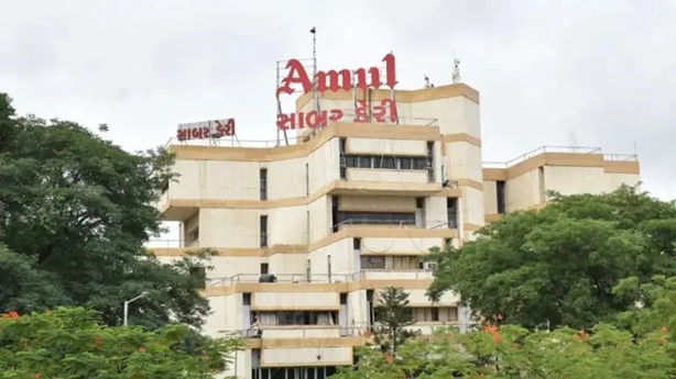 સાબર ડેરીનો મોટો નિર્ણય; દૂધના પ્રતિ કિલો ફેટના ભાવમાં વધારો